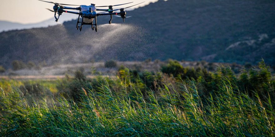 İZMİR'DE DRONE İLE SİNEK AVI BAŞLADI