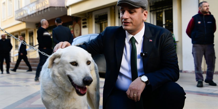 YARDIMCISININ KAÇAK İŞYERLERİNE GÖZ YUMARAK KUL HAKKI YİYEN ÖMER EŞKİ HAYVAN HAKLARINI SAVUNDU