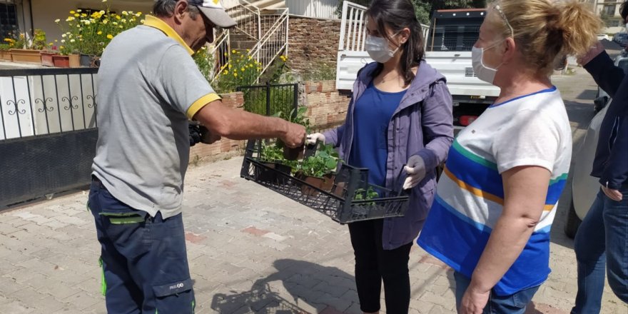 BUCA BELEDİYESİ 'BALKON TARIMI' BAŞLATTI